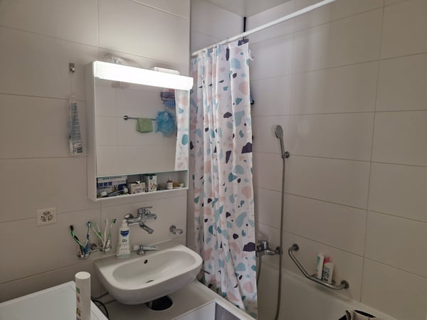 Appartement de 4.5 pièces avec vue 4