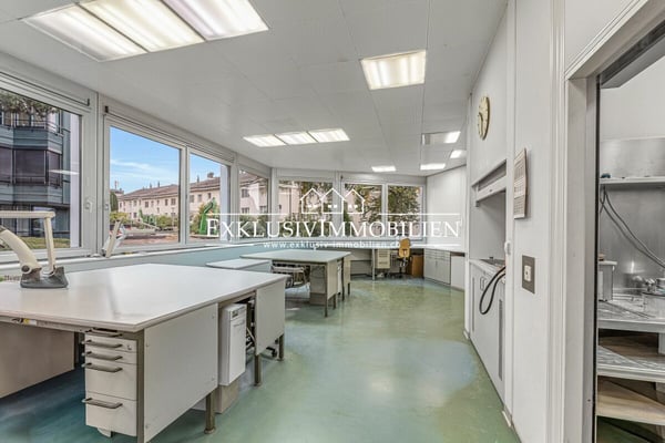 Wohnen und Arbeiten - ganz nach Ihren eigenen Wünschen 3