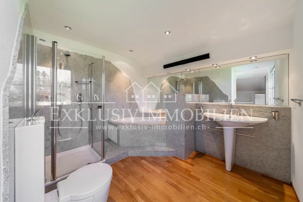 Staunen Sie - Ausblicke über Rapperswil_Zürichsee_Obersee bis in die Berge 7