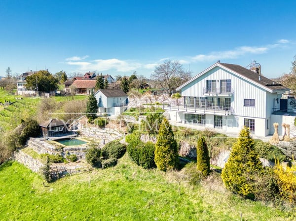 Staunen Sie - Ausblicke über Rapperswil_Zürichsee_Obersee bis in die Berge 2