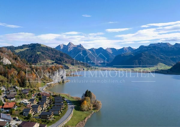 Neubau: Moderne Architektur in idyllischer Naturkulisse 4