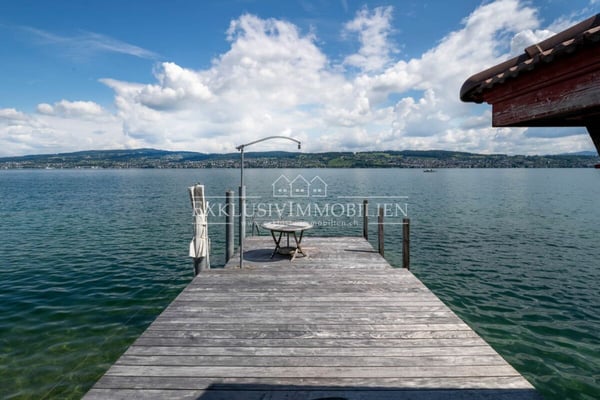 Eine Jugendstilvilla mit Seltenheitswert - drei Wohneinheiten & Bootshaus 1