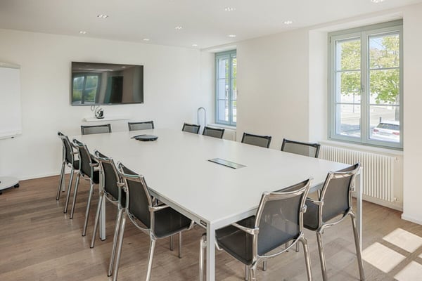 Historische Villa Windegg 4