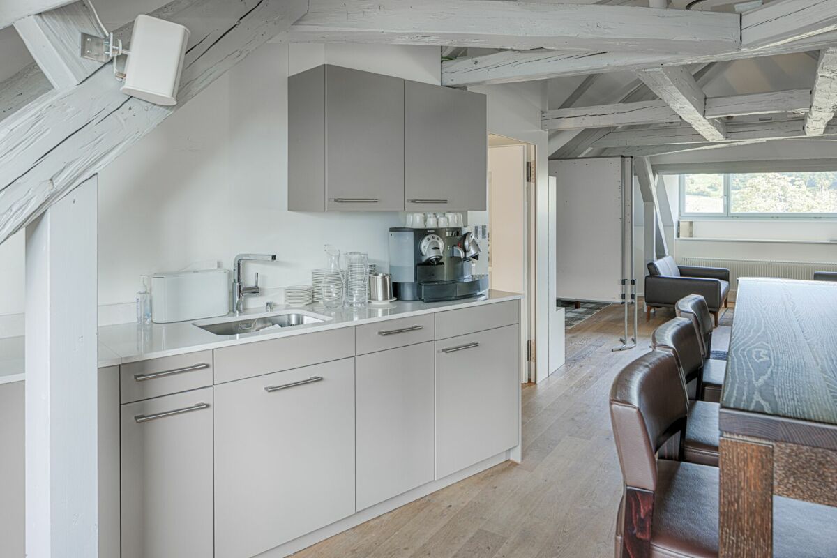 Historic Villa Windegg