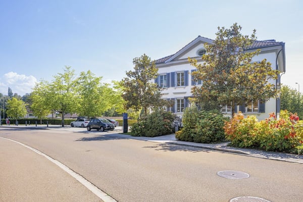 Historische Villa Windegg 1