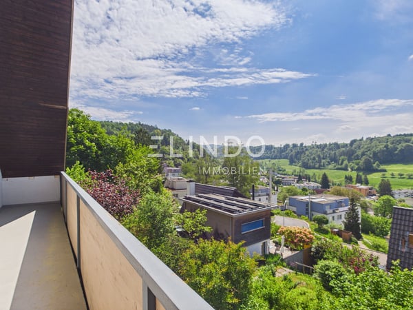 Weitblick & Sonne - Ihr Traumhaus in Birmensdorf ZH 2