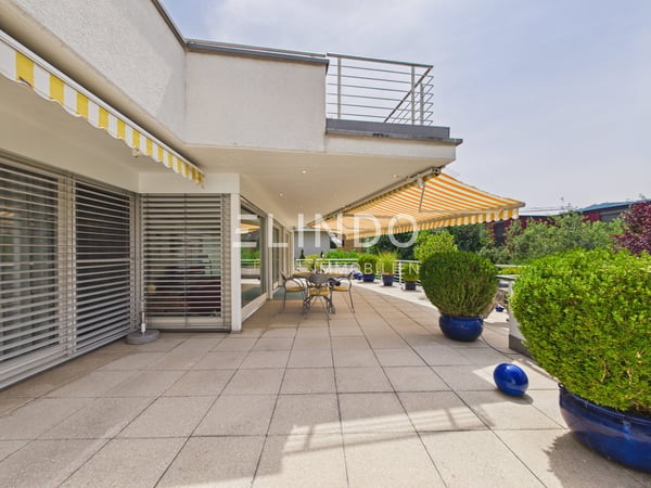 Adliswil | 4.5-Zimmer-Terrassenwohnung 2
