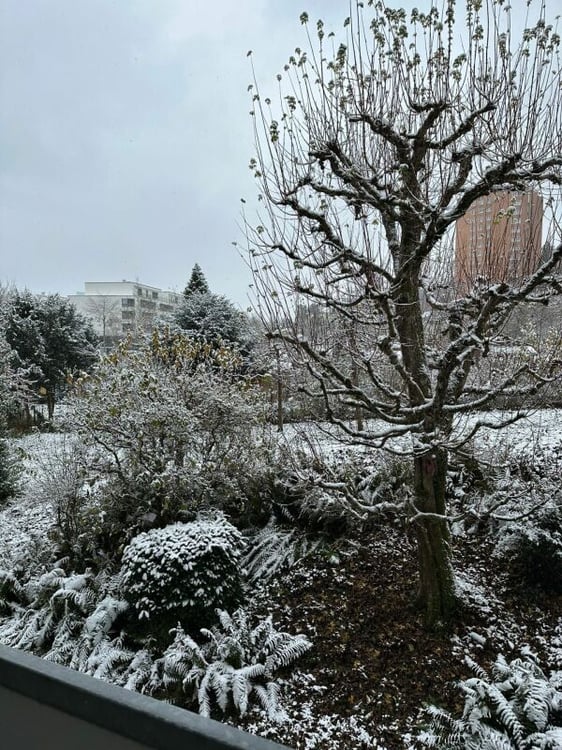 Gut erschlossene Eigentumswohnung in Bern 12