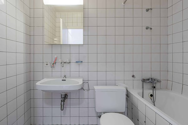 STANDING - APPARTEMENT 8 PIECES 250 m2 10