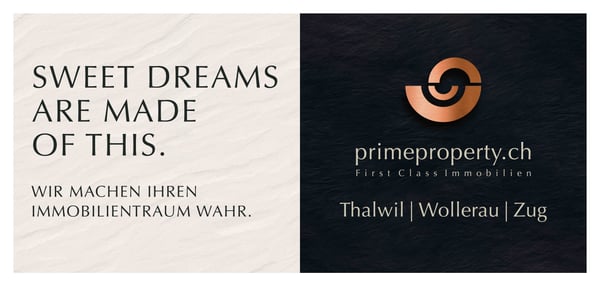 Neubau Attikawohnung mit Blick über den See 4