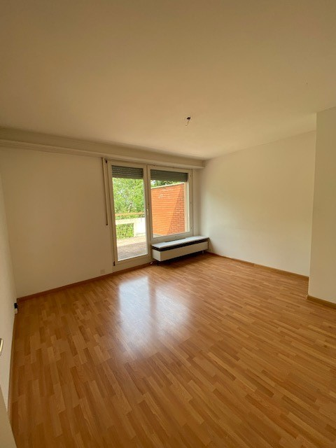 Grosszügige Wohnung im Grünen 3