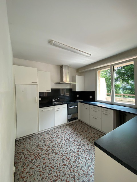 Grosszügige Wohnung im Grünen 4