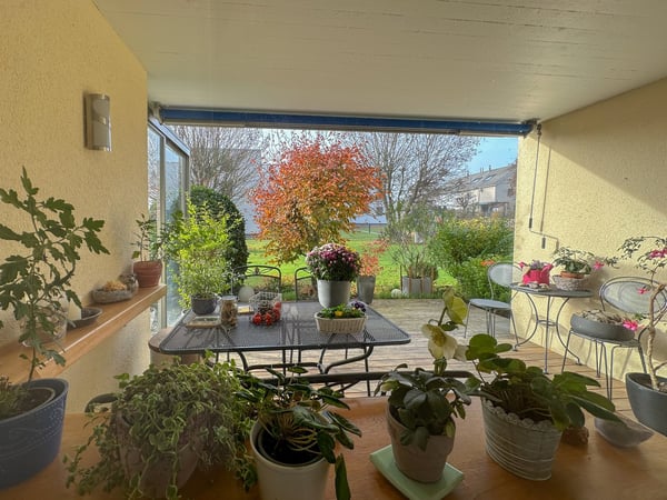 Idyllische Gartenwohnung in ruhigem Quartier in Romanshorn 12