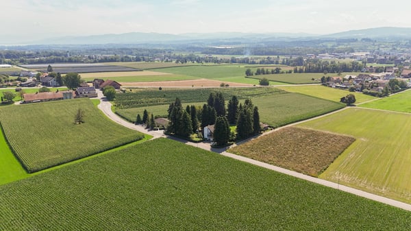 Anwesen mit parkähnlichem Garten an einzigartiger Lage 6
