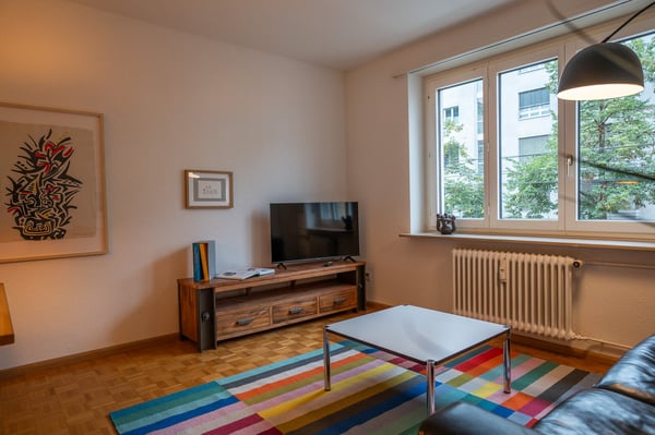 Zentrale 1.5 Zimmerwohnung mit Geschirrspühler, Waschmaschine, Tumbler und Balkon 14
