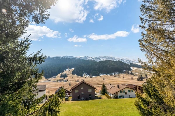 Wohnen mit Bergsicht in Wildhaus 1