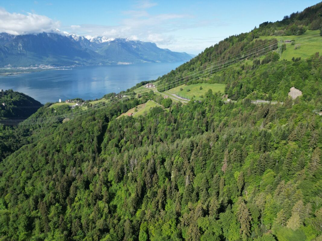 Chalet du Lac