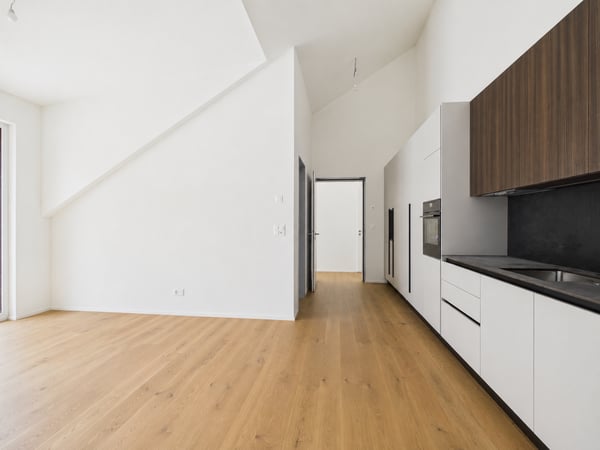 Charmante 1.5-Zimmer-Dachwohnung mit riesiger Terrasse