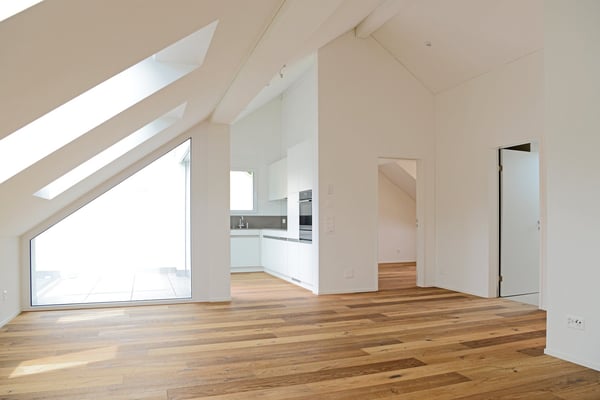 Dachwohnung mit Fernsicht in die Glarner Alpen (F1-3) 1