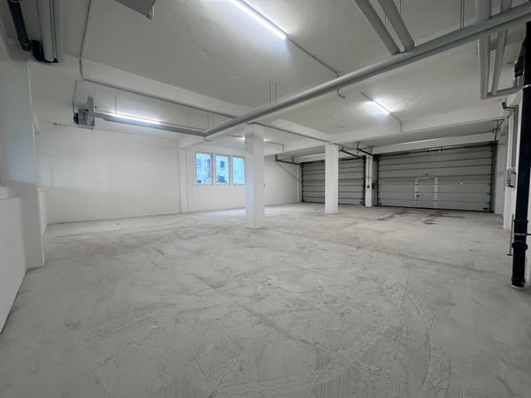 Moderne Industriehalle/Lagerhalle in Bischofszell 2