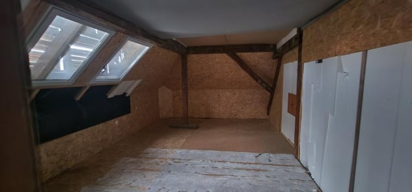 Grosszügiger Schopf 7