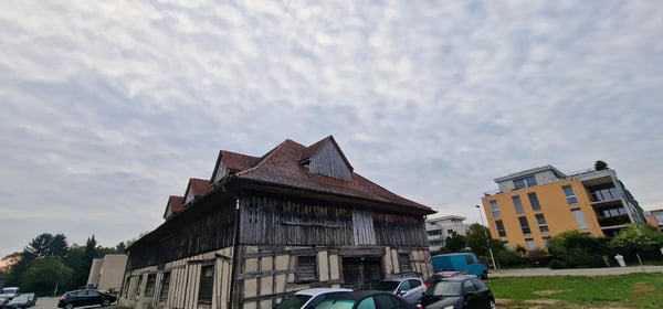 Grosszügiger Schopf 10