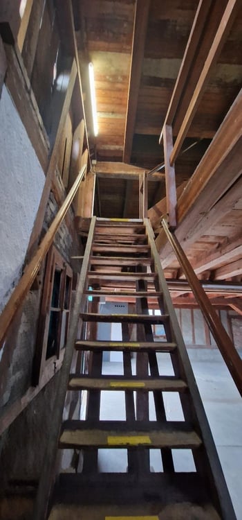 Grosszügiger Schopf 3