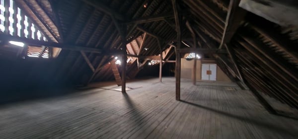 Grosszügiger Schopf 6