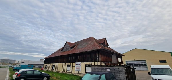 Grosszügiger Schopf 8