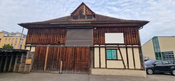 Grosszügiger Schopf 9