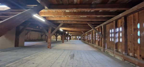 Grosszügiger Schopf 4