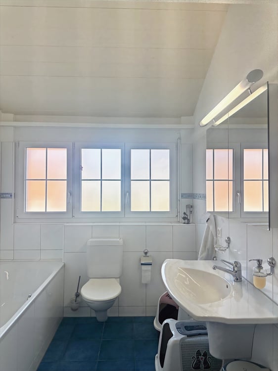 Exklusive 5.5-Zimmer-Maisonettewohnung mit Alpenpanorama in Hittnau 9