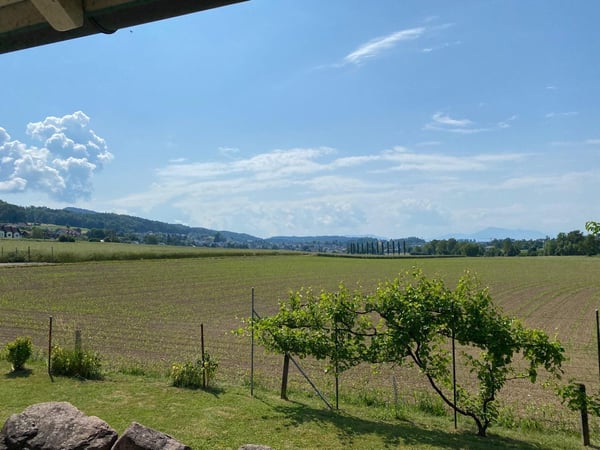 Bauland direkt an der Landwirtschaftszone in Hedingen ZH 2