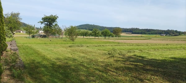 Neubauprojekt - Sechs Familienhäuser in Windlach ZH 3