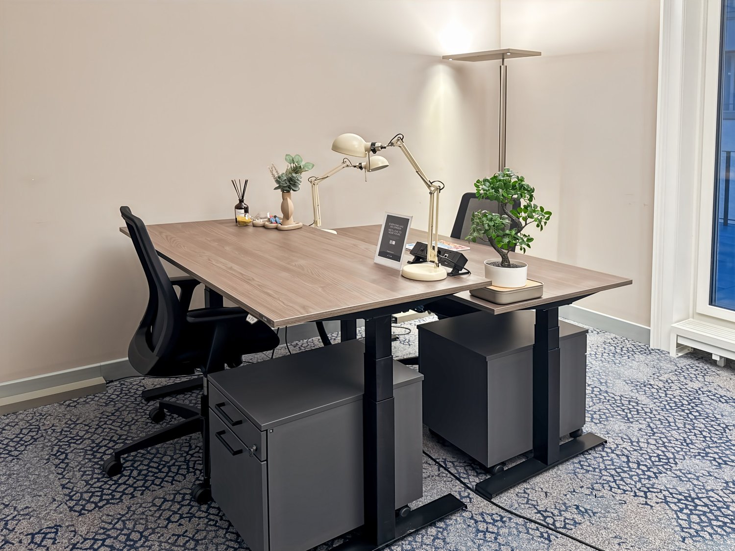modern office desk with two chairs, adjustable height desks, potted plants, and lamps