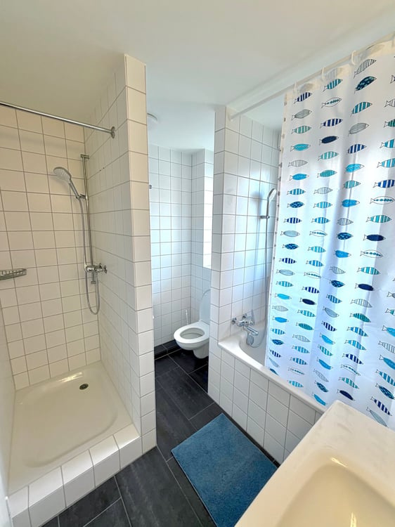 Grosses Zimmer in Gehdistanz zur ETH Hönggerberg :) 6