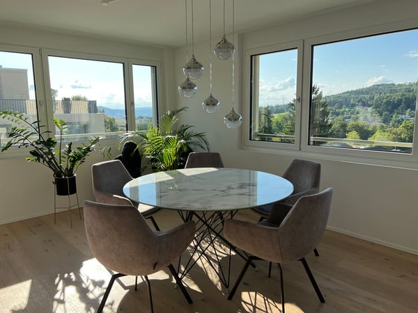 Möblierte Attika - Traumsicht über Zürich bis Uetliberg - neuwertig! 2