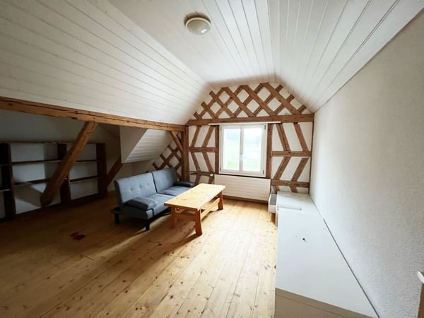 RENOVIERT - HOHE DECKEN - SICHTBALKEN! 1