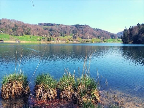 Aussergewöhnliche 2.5 Zimmer-Maisonette-Wohnung mit Garten 17