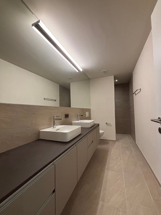 NEUBAU: Sehr grosse 4.5-Zimmer-Wohnung mit 347m2 Garten 9