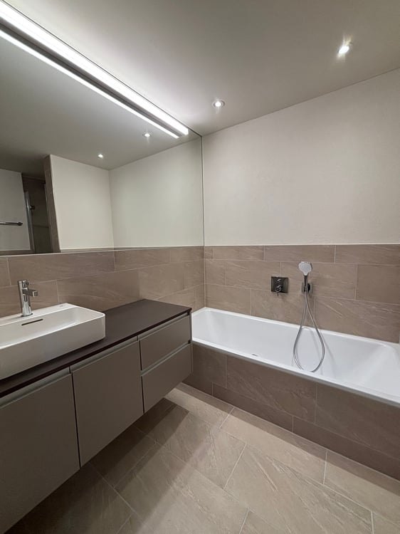 NEUBAU: Sehr grosse 4.5-Zimmer-Wohnung mit 347m2 Garten 11