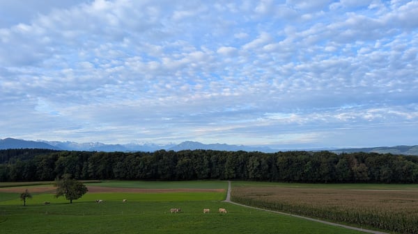 4.5-Zimmer-Garten-Wohnung mit atemberaubendem Ausblick und Zusatzraum 24
