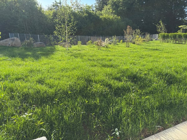ERSTVERMIETUNG Gartenparadies: 5.5 Zimmer-Wohnung mit grossem Garten 4