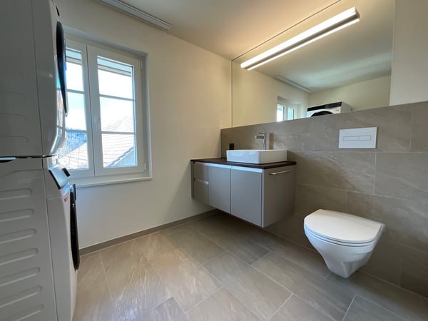 Altbaucharme trifft auf Neubau: ERSTVERMIETUNG 4.5 Zimmer-Wohnung 9