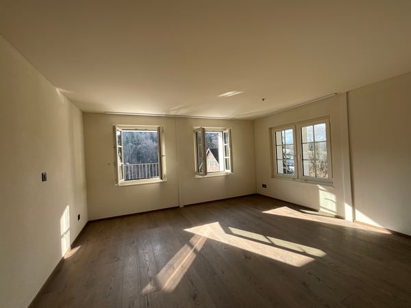 Altbaucharme trifft auf Neubau: ERSTVERMIETUNG 4.5 Zimmer-Wohnung 6
