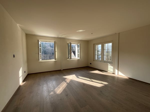 Altbaucharme trifft auf Neubau: ERSTVERMIETUNG 4.5 Zimmer-Wohnung 7
