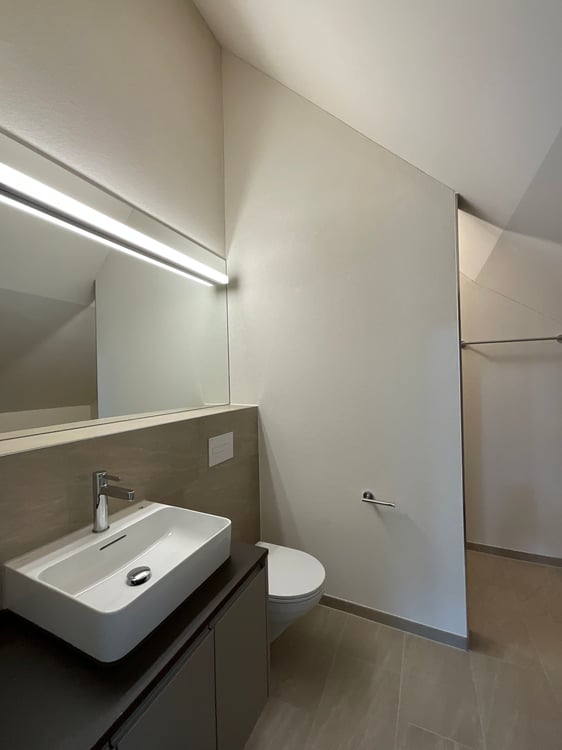 Altbaucharme trifft auf Neubau: ERSTVERMIETUNG 4.5 Zimmer-Wohnung 18