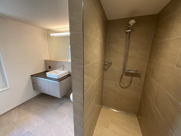 Altbaucharme trifft auf Neubau: ERSTVERMIETUNG 4.5 Zimmer-Wohnung 8