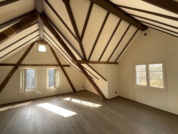Altbaucharme trifft auf Neubau: ERSTVERMIETUNG 4.5 Zimmer-Wohnung 17