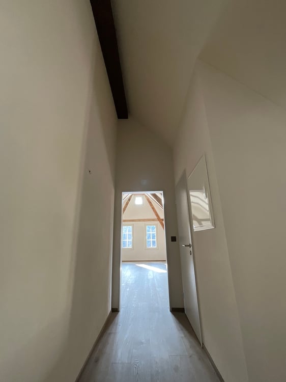 Altbaucharme trifft auf Neubau: ERSTVERMIETUNG 4.5 Zimmer-Wohnung 12